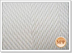 Sludge Dehydration Screen